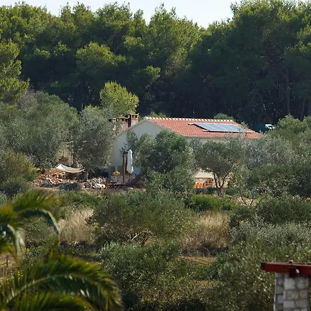 Kır Evi Robinson House Nicolina