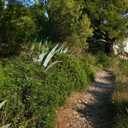 Robinson House Nicolina