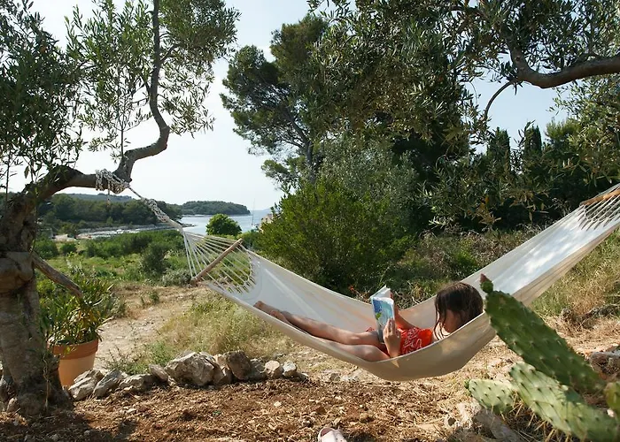 Robinson House Nicolina