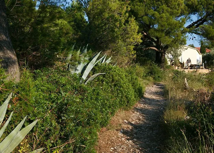 Robinson House Nicolina